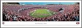 San Francisco 49ers - Candlestick Park - End Zone - Framed Poster Print