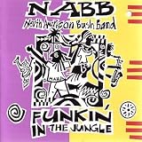 Funkin' in the Jungle by 