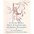 El Sur De Mexico: Cruce De Caminos Para Los Pajaros Migratorios / Sothern Mexico: Crossroads for Migratory Birds