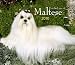 Maltese, For the Love of 2010 Deluxe Wall