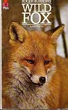 Wild fox