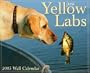 Just Yellow Labs