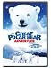 DVD : The Great Polar Bear Adventure