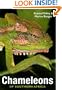 Chameleons of Southern Africa