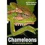 Chameleons of Southern Africa