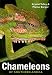 Chameleons of Southern Africa