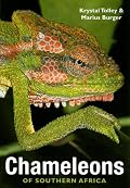 Chameleons of Southern Africa