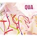 Qua