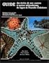 Guide des etoiles de mer, oursins et autres echinodermes du lagon de Nouvelle-Caledonie =: Handbook of the sea-stars, sea-urchins, and related ... (Collection Faune tropicale) (French Edition)