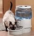 Pet Supplies : Ergo Auto Pet Waterer, Small