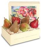 Holiday Pear Mixer - Light