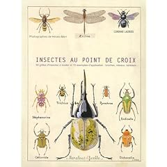 Insectes au point de croix