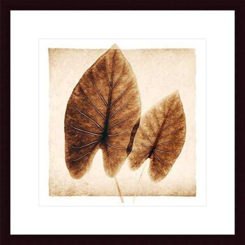 Barewalls Interactive Art 341843S61-BLK,CW,WTW Taro Leaves, Wood Framed Art Print- Black Wood-White Mat