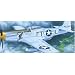1/24 �m�[�X�A�����J�� P-51D �}�X�^���OIV