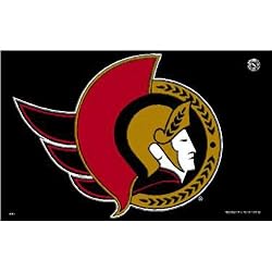 Ottawa Senators NHL 3'x5' Banner Flag by Rico Industries