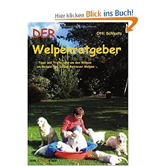 DER Welpenratgeber: Tipps und Tricks rund um den Welpen am Beispiel des Golden Retriever Welpen