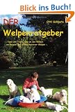 DER Welpenratgeber: Tipps und Tricks rund um den Welpen am Beispiel des Golden Retriever Welpen