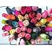 One Dozen Assorted Wooden Roses