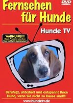Fernsehen f&uuml;r Hunde - Hunde TV