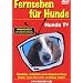 Fernsehen f�r Hunde - Hunde TV