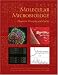 Molecular Microbiology: Diagnostic Principles and Practice