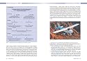 Luftfahrt-Wissen: Von den Grundlagen zur Pilotenlizenz: Von den Grundlagen bis zur Pilotenlizenz