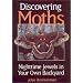 Discovering Moths: Nighttime Jewels in Your Own Backyard