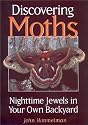 Discovering Moths: Nighttime Jewels in Your Own Backyard
