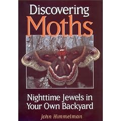 Discovering Moths