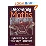 Discovering Moths: Nighttime Jewels in Your Own Backyard