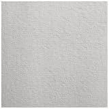 Pinzon 200-Gram Supima Velvet Flannel King Pillowcase Pair, Silver Grey
