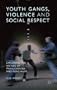 Youth Gangs, Violence and Social Respect: Exploring the Nature of Provocations and Punch-Ups
