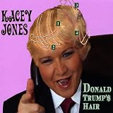 Donald Trump's Hair