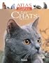 CHATS DE RACE (LES)