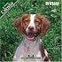 Brittany 2007 Wall Calendar