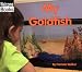 Books : My Goldfish (My Pets)