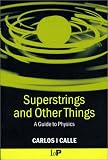 Superstrings and Other Things: A Guide to Physics