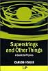 Superstrings and Other Things: A Guide to Physics