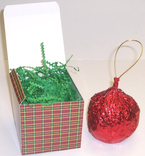 Scott's Cakes 1 Pound Chocolate Raspberry Fudge Christmas Ornament Covered in Milk... by Raspberry Candy