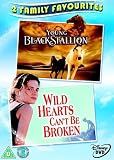 Young Black Stallion/Wild Hearts Can't Be Broken