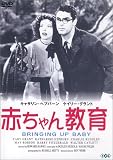 赤ちゃん教育 [DVD]