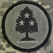 Tennessee National Guard ACU Patch
