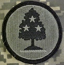 Tennessee National Guard ACU Patch