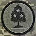 Tennessee National Guard ACU Patch