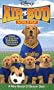 Air Bud - World Pup