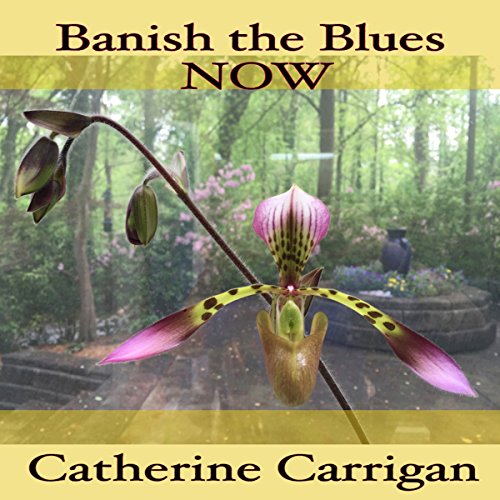 Banish the Blues Now