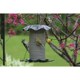 Forever Nyjer Feeder3 Quart - Smokey by The Home Stores