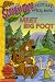 Books : Meet Big Foot (Scooby-Doo! Picture Clue Book with 24 Flash Cards, Level 1)