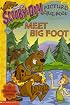 Meet Big Foot (Scooby-Doo! Picture Clue Book with 24 Flash Cards, Level 1)