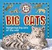 10 Things You Should Know About Big Cats (10 Things You Should Know series)